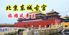 骚女抠逼48p中国北京-东城古宫旅游风景区